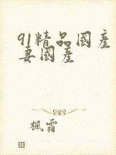 91精品国产人妻国产