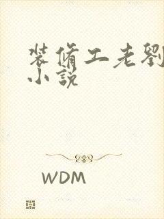 装修工老刘林雪小说