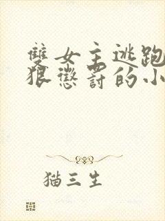 双女主逃跑被狠狠惩罚的小说推荐