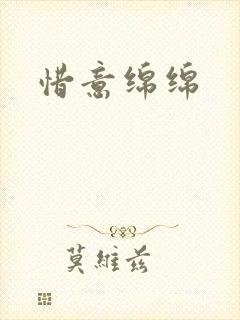 惜意绵绵封面