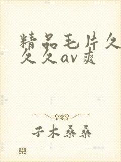 精品毛片久久久久久av爽