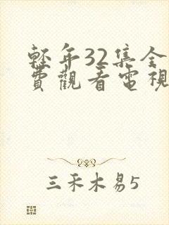 轻年32集全免费观看电视剧