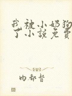 我被小奶狗壁咚了小说免费阅读无弹窗