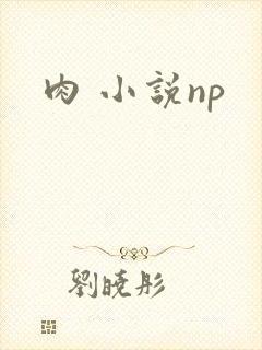 肉 小说np