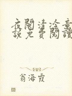夜阑清冷意欢小说免费阅读封面