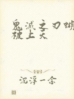 鬼灭之刃蝴蝶忍被上天封面