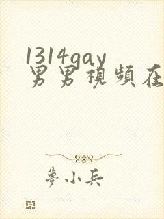 1314gay男男视频在线观看