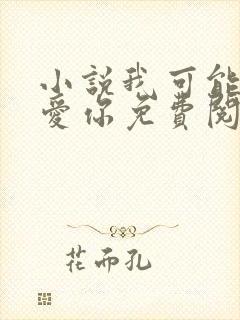 小说我可能不会爱你免费阅读