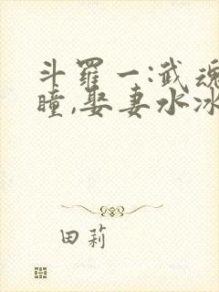斗罗一:武魂重瞳,娶妻水冰儿