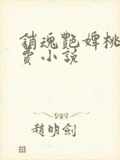 销魂艳婢桃儿免费小说