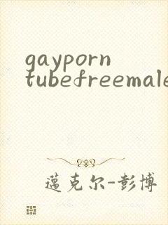 gayporntubefreemalesexvideo封面