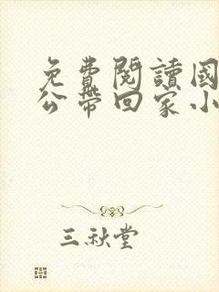 免费阅读国民老公带回家小说