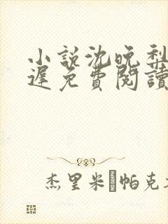 小说沈晚梨谢云迟免费阅读