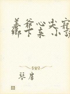 姜爷心尖宠她从乡下来 小说下载txt封面