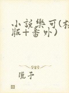 小说乐可(校对版+番外)