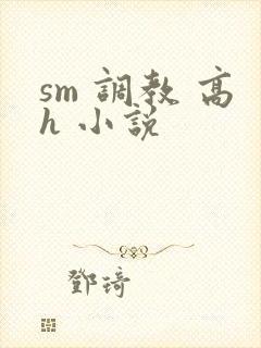 sm 调教 高h 小说