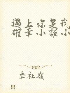 遇上你是我的小确幸小说小说
