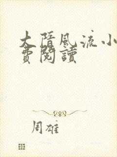 大隋风流小说免费阅读