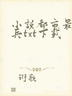 小说都市最强狂兵txt下载封面