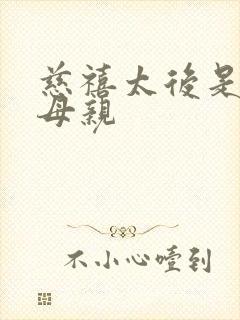 慈禧太后是谁的母亲封面