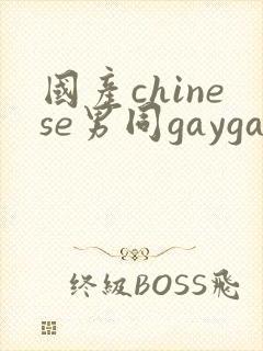 国产chinese男同gaygay网站