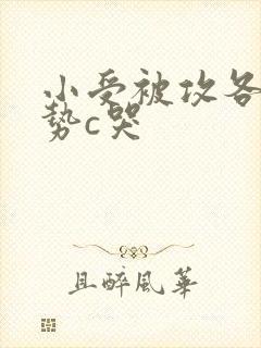 小受被攻各种姿势c哭