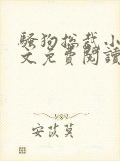 骚狗总裁小说全文免费阅读最新章节