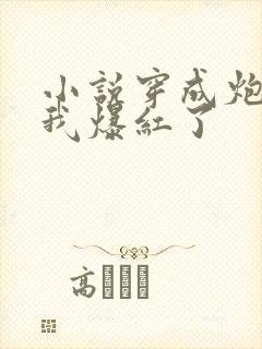 小说穿成炮灰后我爆红了