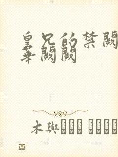 皇兄的禁阙by华阙阙