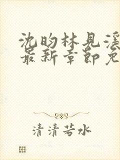 沈昀林见溪小说最新章节免费阅读