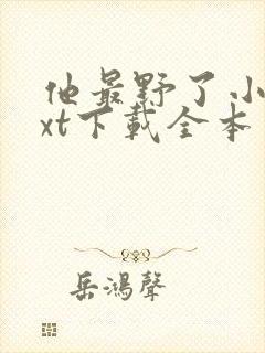 他最野了小说txt下载全本免费封面