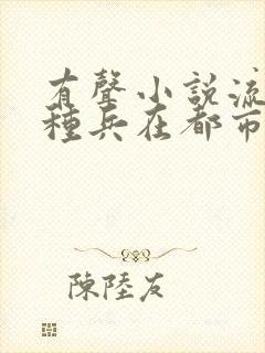 有声小说流氓特种兵在都市小说