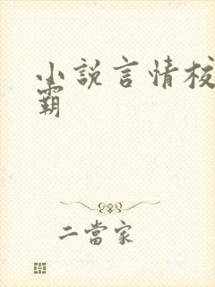 小说言情校园校霸