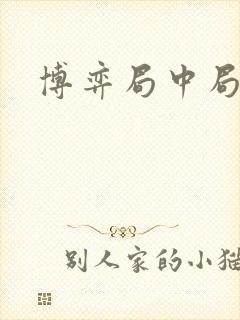 博弈局中局封面