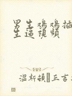 男生鸡鸡插进女生逼视频