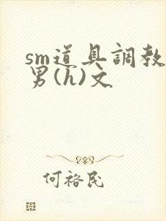 sm道具调教男男(h)文