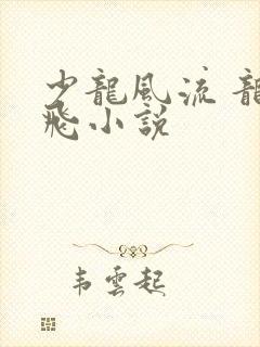 少龙风流 龙剑飞小说封面