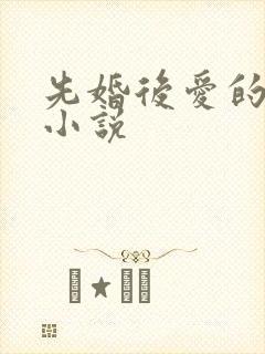先婚后爱的好看小说