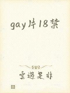 gay片18禁封面