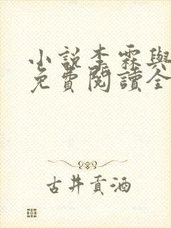 小说李霖与李澜免费阅读全文最新章节