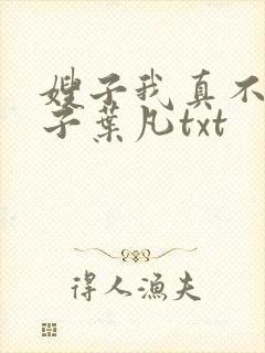 嫂子我真不是傻子叶凡txt封面