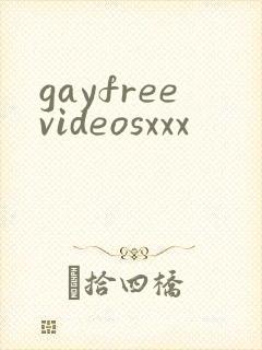 gayfreevideosxxx封面