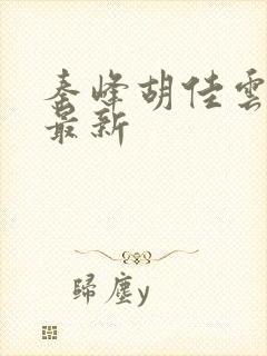 秦峰胡佳云正版最新