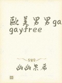 欧美男男gaygayfree