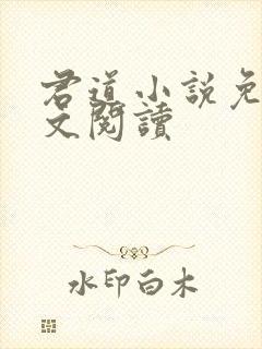 君道小说免费全文阅读