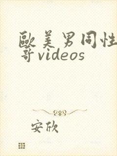 欧美男同性恋帅哥videos封面