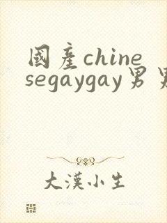 国产chinesegaygay男男