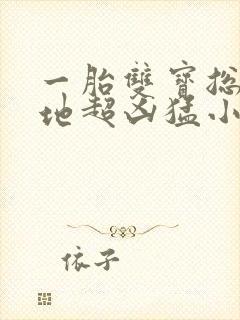 一胎双宝总裁爹地超凶猛小说在线