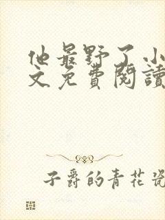 他最野了小说全文免费阅读