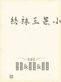 丝袜玉足小说封面